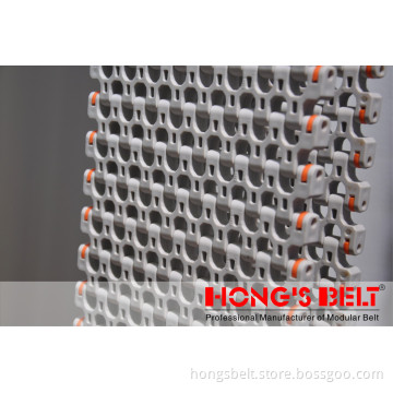 Food Grade Modular Conveyor Belt (HS-501B)